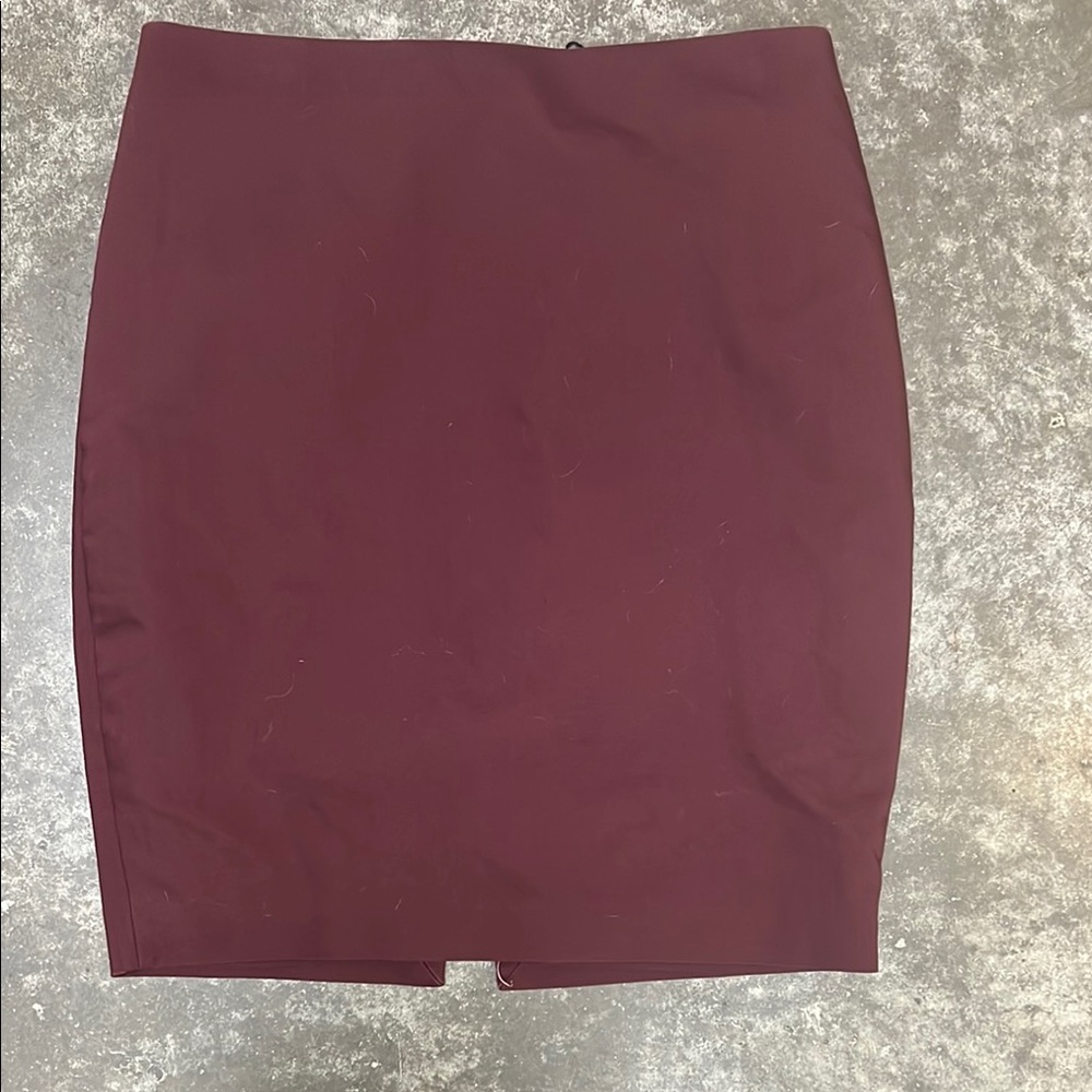 Express Pencil Skirt